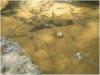 Picture27